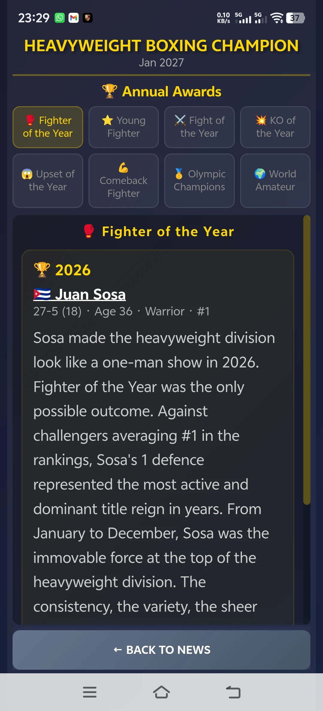 Sim: Heavyweight Boxing screenshot
